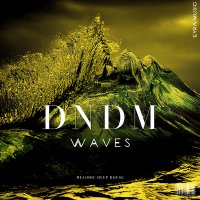 Скачать песню DNDM - Waves