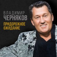 Скачать песню Владимир Черняков - Придорожное ожидание