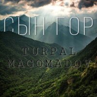 Скачать песню Turpal Magomadov - Сын гор