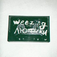 Скачать песню Weezing - Лютики (Remix)