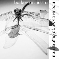 Скачать песню burkov orchestra - отчаяние
