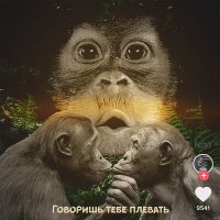 Скачать песню Lx24, Nurshat Asymov - Танцы под луной (Nurshat Asymov Remix)