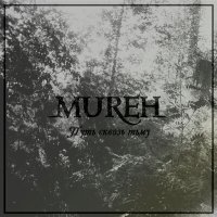 Скачать песню Mureh - Истерия