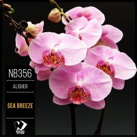 Скачать песню Alisher - Sea ​​Breeze (Original Mix)