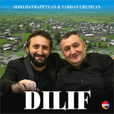 Постер песни Soso Hayrapetyan, Vardan Urumyan - Dilif