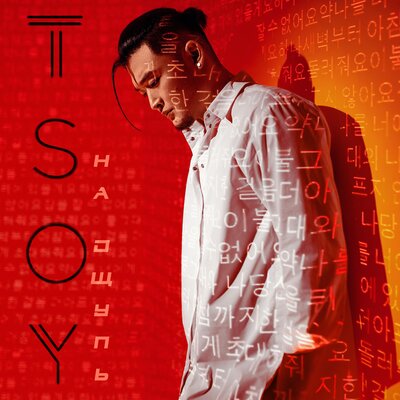 Постер песни TSOY - Позови меня с собой (Cover)
