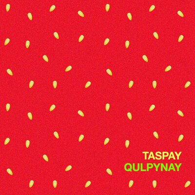 Постер песни Taspay - Qulpynay ‍