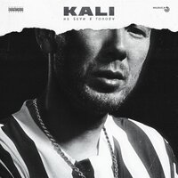 Постер песни KALI - Не бери в голову