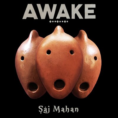 Постер песни ONUKA, Saj Mahan - Zenit (Saj Mahan Remix)