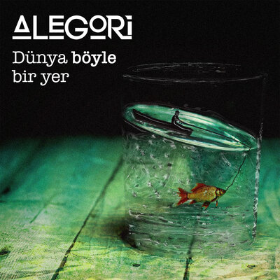 Постер песни ALEGORİ - Kim Mükemmel Ki