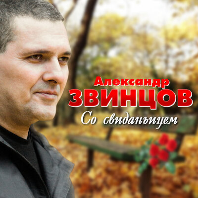 Постер песни Александр Звинцов - Воля