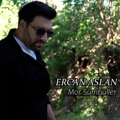 Постер песни Ercan Aslan - Mor Sümbüller