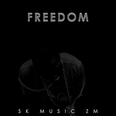 Постер песни SK Music ZM - Freedom
