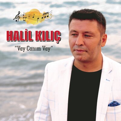 Постер песни Halil Kılıç - Vay Canım Vay