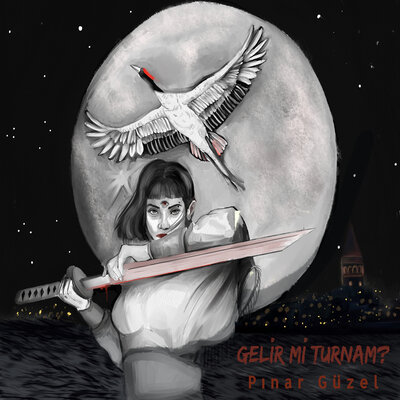 Постер песни Pınar Güzel - Gelir mi Turnam?