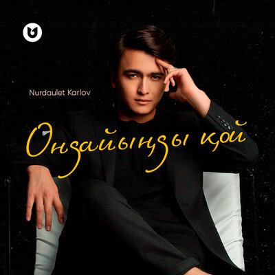 Постер песни Nurdaulet Karlov - Ондайыңды қой