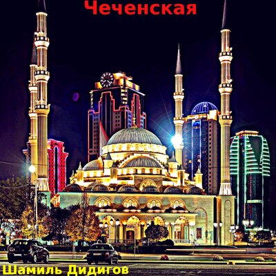 Постер песни Шамиль Дидигов