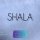 Скачать песню GIPSY - Shala