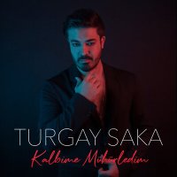 Скачать песню Turgay Saka - Kalbime Mühürledim