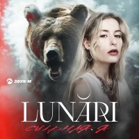Скачать песню Lunari - Сильная я