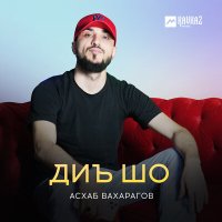 Скачать песню Асхаб Вахарагов - Диъ шо