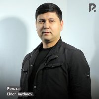 Скачать песню Eldor Haydarov - Feruza