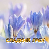 Скачать песню Сергей Грищук - БЕЛЫЕ ЛЕБЕДИ