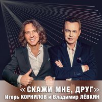 Скачать песню Владимир Лёвкин, Игорь Корнилов - Скажи мне, друг