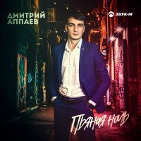 Скачать песню Дмитрий Аппаев - Пьяная ночь