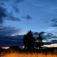 Скачать песню Платон Морозов - последнее лето