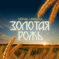 Скачать песню Тайпан, MorozKA - Золотая рожь