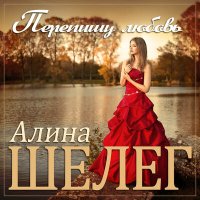 Скачать песню Алина Шелег - Перепишу любовь