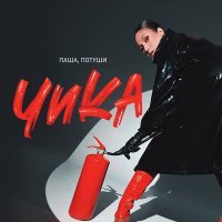 Скачать песню Чика - Паша, потуши