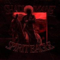 Скачать песню SHADXWMANE - SPIRIT EAGLE