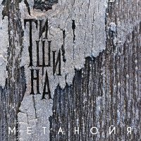 Скачать песню Метанойя - Не будет