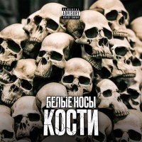 Скачать песню Белые Носы - Кости