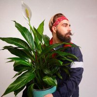 Скачать песню #ЗАЦВ - Прости