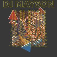 Скачать песню DJ Mayson - To Be Wilder
