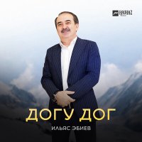 Скачать песню Ильяс Эбиев - Догу дог