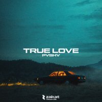 Скачать песню PVSHV - True Love
