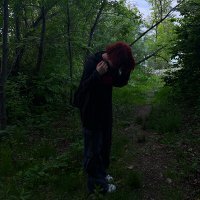 Скачать песню Shipko - Всё умерло