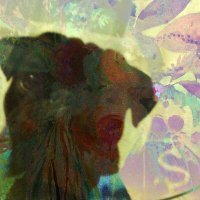 Скачать песню хедлайтс - кручу педали (2023)