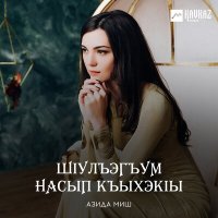 Скачать песню Азида Миш - Чъые, чъые цlыкlужъый