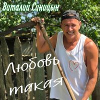 Скачать песню Виталий Синицын - Любовь такая
