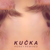 Скачать песню Kučka - Real