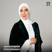 Скачать песню Дилдора Ниязова - Aybim sevganim