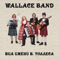 Скачать песню Wallace Band - Down By the Sally Gardens