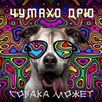 Скачать песню Чумахо Дрю - Собака может