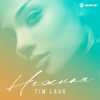 Скачать песню Tim Laur - Нежная