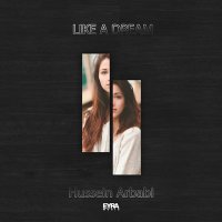 Скачать песню Hussein Arbabi - Like A Dream